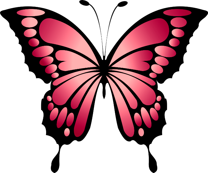 Трафареты бабочек и стрекоз