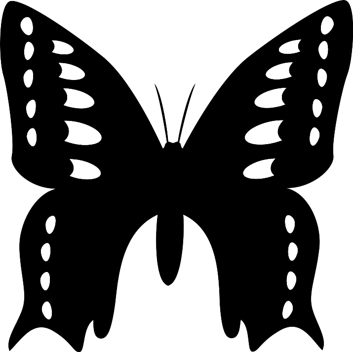 шаблон бабочки