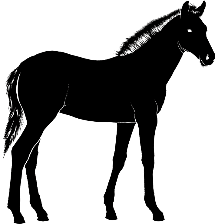 шаблон лошади