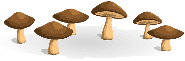 шаблон грибы